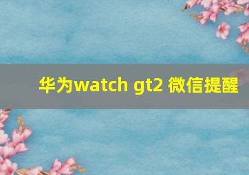 华为watch gt2 微信提醒